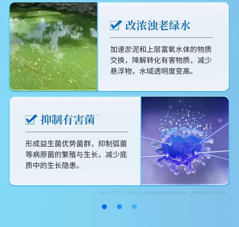 生物底改雙效改底王魚(yú)蝦蟹塘調(diào)水增氧除臭水產(chǎn)養(yǎng)殖凈水寶