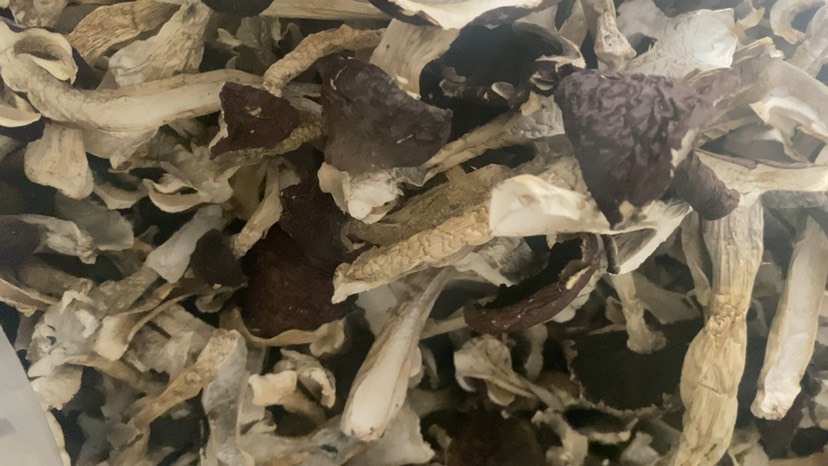 兴文县二级赤松茸干片量大从优