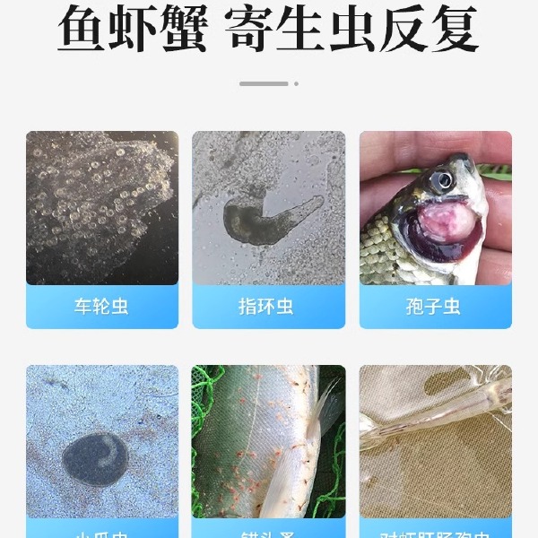 乐畅桉树精油鱼虾蟹指环锚头蚤三代鱼虱小瓜车轮驱