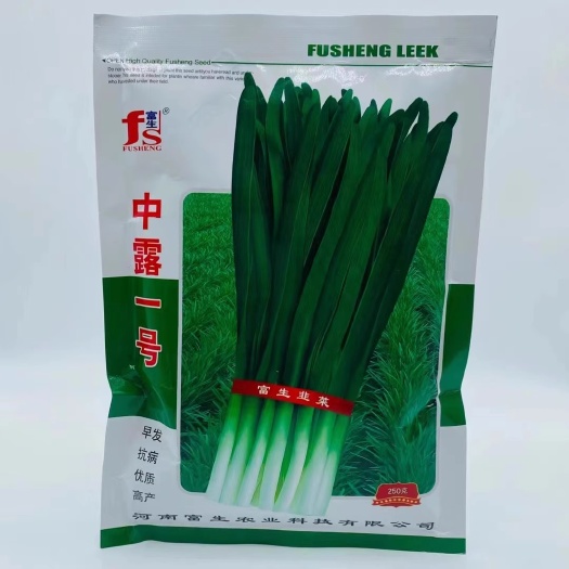漯河中露一号富生韭菜种子，早发抗病，宽叶浓绿，鲜嫩清香，辛辣味浓