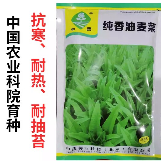 中蔬纯香油麦菜种子，口感脆香，抗寒耐热，耐抽苔，基地专用