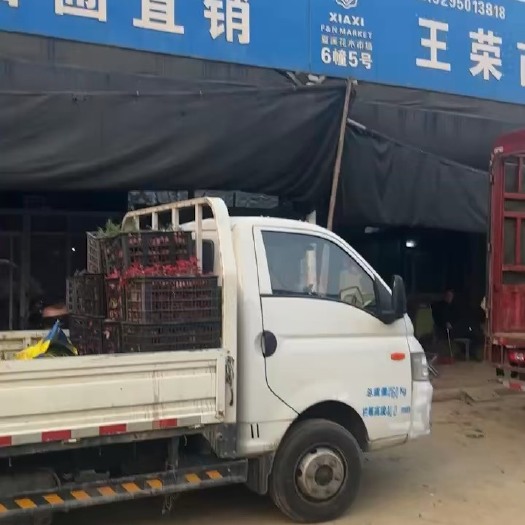 常州精品苗，工程苗，花镜苗