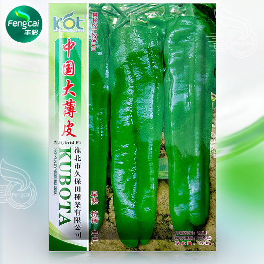 中国大薄皮辣椒种子 杂交种 果长21-29cm单果重150g
