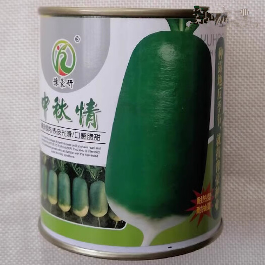 中秋情萝卜种子，青皮绿肉，耐热夏秋播萝卜，口感细嫩，表皮光滑