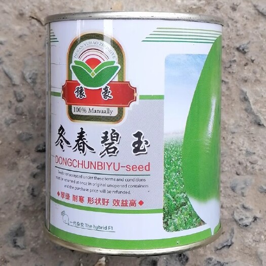 漯河冬春碧玉萝卜种子，春播种萝卜种子，翠绿，耐寒，形状好，抗病