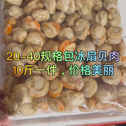 今年新货20-40规格包冰扇贝肉带黄带膏10斤一件高品质