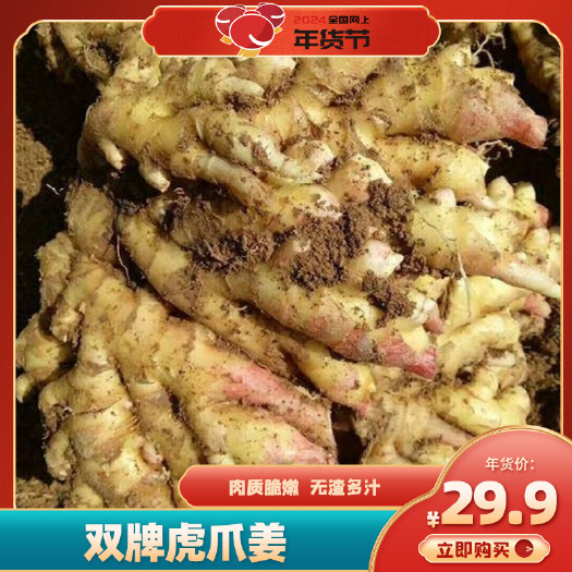 双牌县双牌县虎爪姜 肉质脆嫩