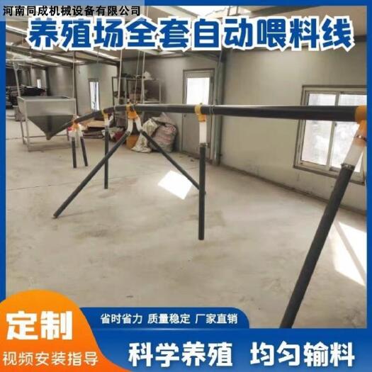 荥阳市3-35吨热镀锌养殖场饲料储存罐养猪养殖场自动投喂下料线设备