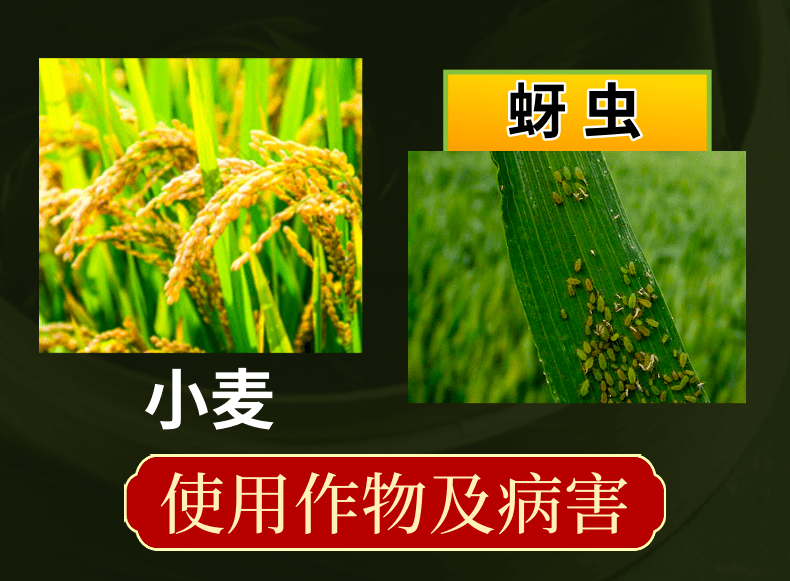 5%联苯噻虫嗪蚜虫白粉虱飞虱蓟马等刺吸类害虫