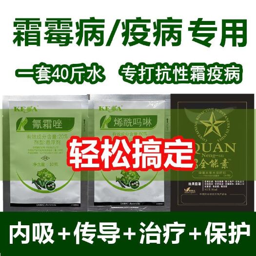 民权县霜霉病疫病专用杀菌剂黄瓜番茄辣椒草莓土豆烯酰吗啉氰霜唑组合装