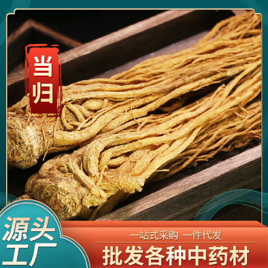昆明批发中药材全当归 产地货源直播山货供应散装全当归滋补药材