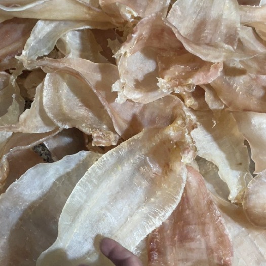 乐清市土鳘母11头厚肉白净的
