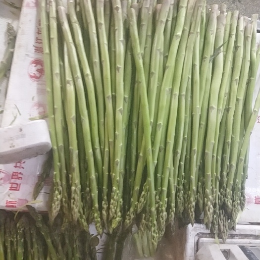 臨海市蘆筍自產(chǎn)自銷