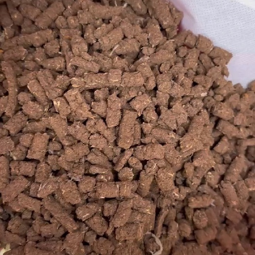烟台烘干苹果渣 水分10个左右