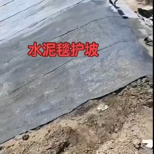 德州新型鱼塘防渗材料.省时省力.铺设简单易安装.