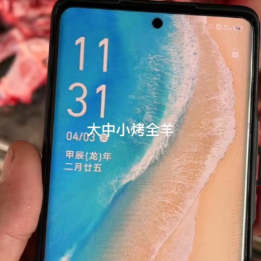 沧县白条羊