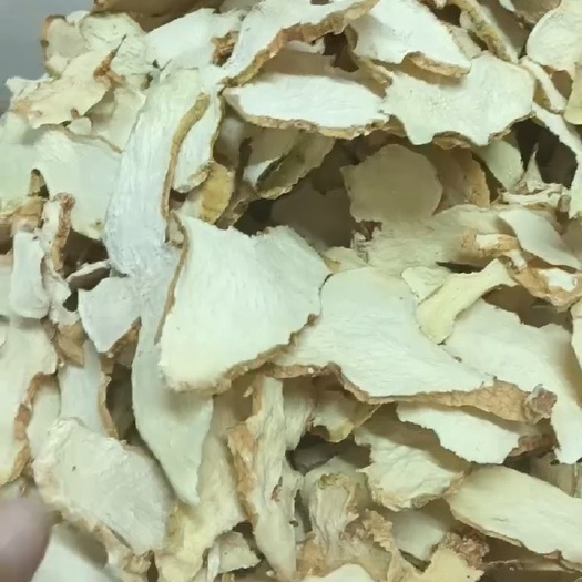 巴中姜形黄精