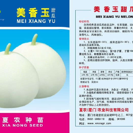 厦门甜瓜美香玉种子，薄皮甜瓜革命性品种，长势强，大果整齐，香味浓