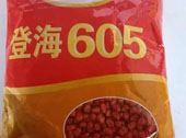 登海605玉米种子