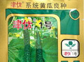 津优一号黄瓜种子