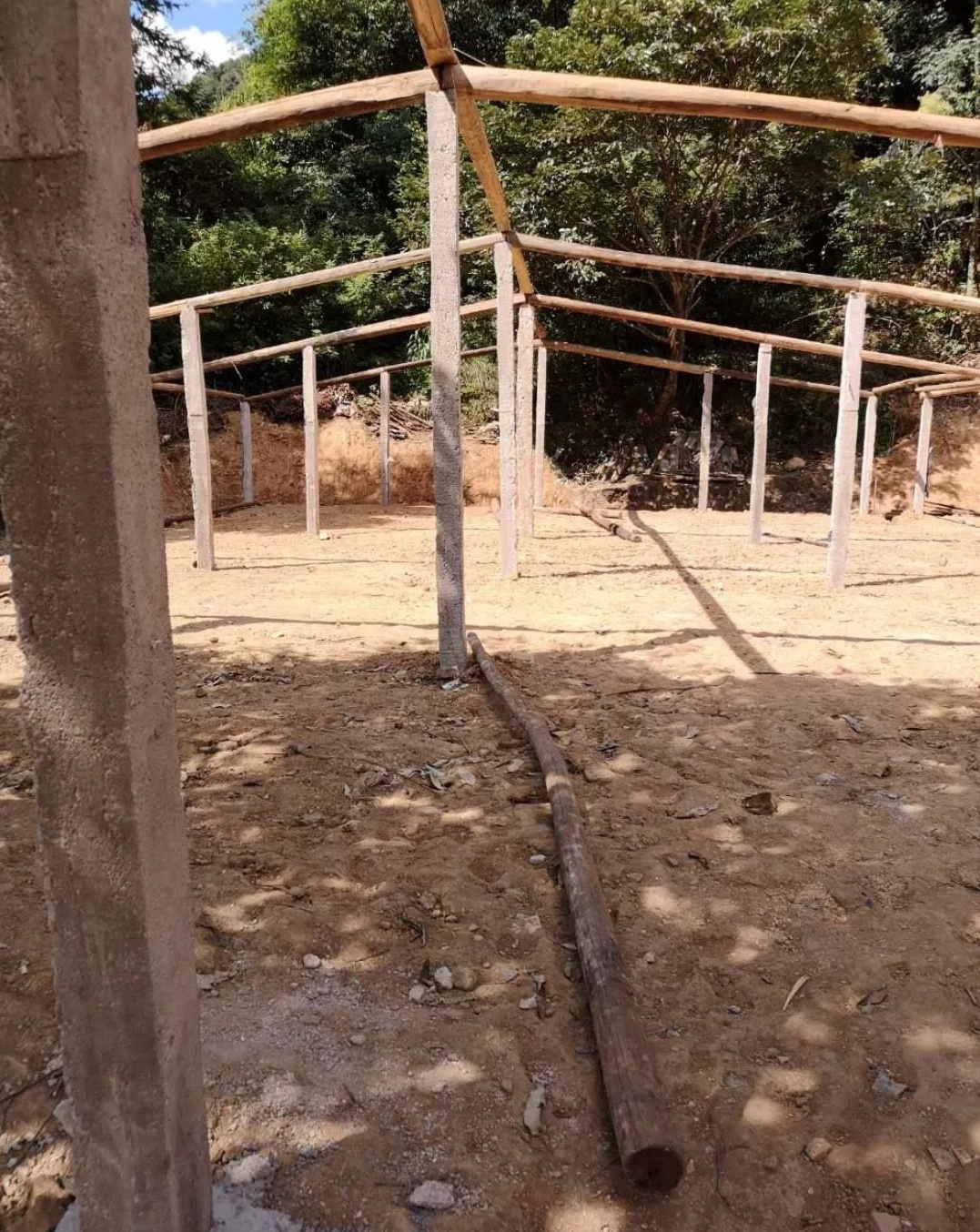 茶樹菇大棚的搭建全過程！茶樹菇種植戶必看-圖片版權(quán)歸惠農(nóng)網(wǎng)所有