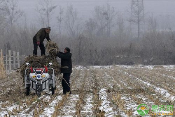 大雪节气和小雪节气的区别在哪？大雪是否等于下大雪？