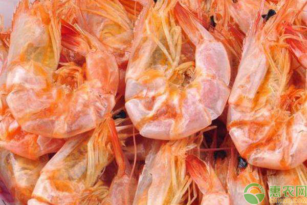 虾干怎么保存时间长？哪里产的虾干质量最好？