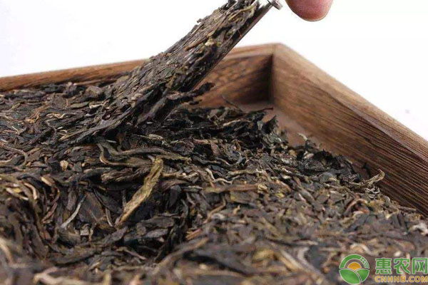 普洱茶保存方法及注意事项