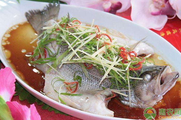 花斑鱼和鲈鱼哪个好吃？两者怎么做好吃？