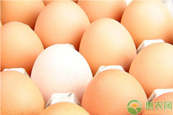 鸡蛋价格多少钱一斤？2020元旦节前后，鸡蛋价格会上涨吗？
