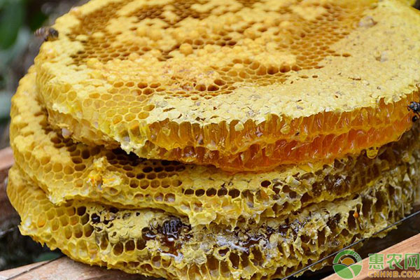 中国最出名最好的蜂蜜产地在哪里？看看有你的家乡没有！