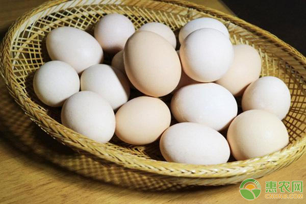 2020年春节前后全国鸡蛋价格行情预测及走势分析