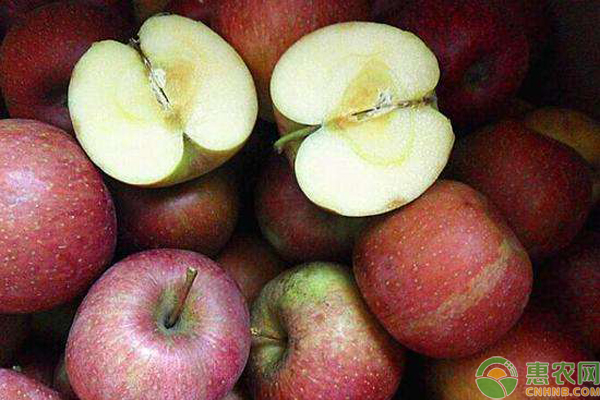 丑苹果多少钱一斤？丑苹果的功效与作用