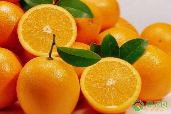 麻阳冰糖橙几月份上市？麻阳冰糖橙和永兴冰糖橙哪个好吃些？