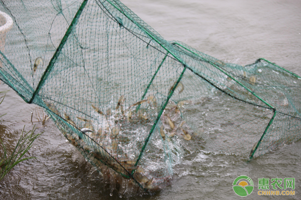 行业 | 官方宣布长江十年禁渔，鱼价会涨多少？