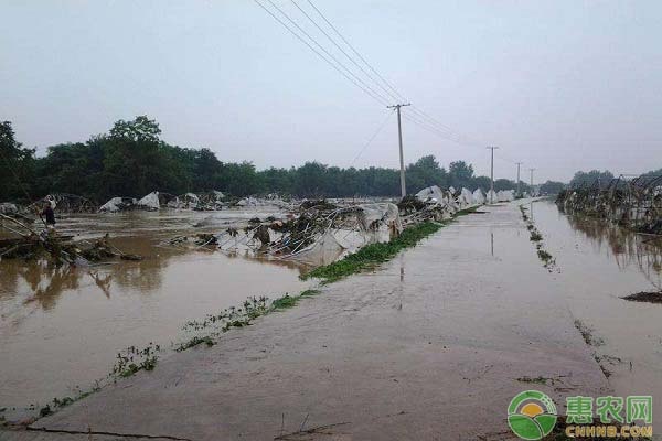 2020年雨水节气是在哪一天？“雨水三候”指的是什么？