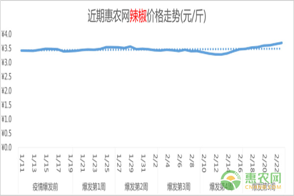 最新疫情简报：鸡最热门，鸭苗成市场新宠，三类水果连续排名前三