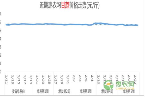 最新疫情简报：鸡最热门，鸭苗成市场新宠，三类水果连续排名前三