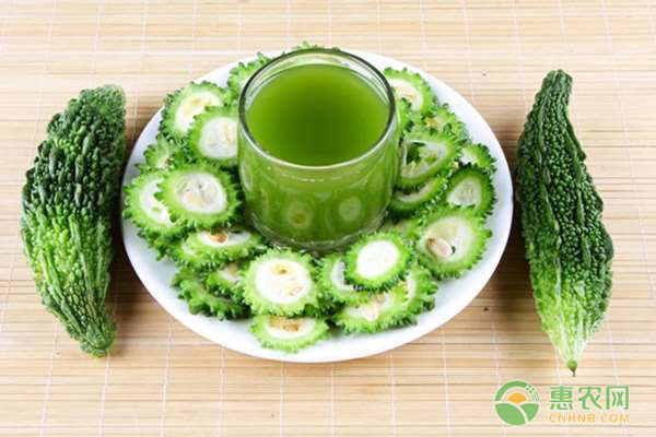 種植苦瓜出苗率低，主要是這五大原因！-圖片版權(quán)歸惠農(nóng)網(wǎng)所有