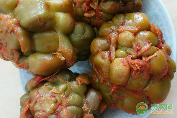 榨菜的高產(chǎn)種植技術(shù)-圖片版權(quán)歸惠農(nóng)網(wǎng)所有