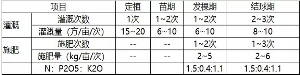 設施葉菜精準灌溉施肥技術要點-圖片版權歸惠農網所有