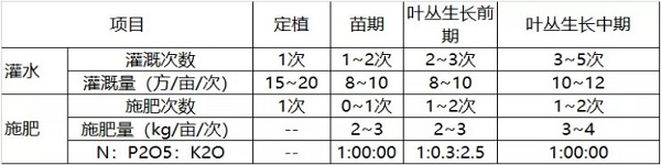 設施葉菜精準灌溉施肥技術要點-圖片版權歸惠農網所有