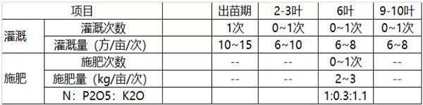 設施葉菜精準灌溉施肥技術要點-圖片版權歸惠農網所有