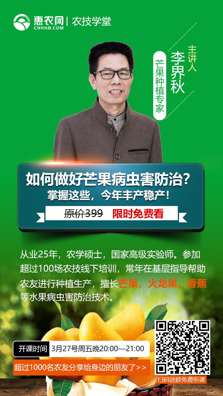 芒果高產(chǎn)種植管理技術(shù)-圖片版權(quán)歸惠農(nóng)網(wǎng)所有