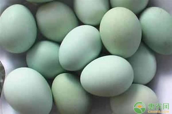 鴨蛋長時間保存方法-圖片版權(quán)歸惠農(nóng)網(wǎng)所有