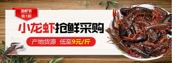 養(yǎng)殖小龍蝦如何控制青苔繁殖？-圖片版權歸惠農網所有