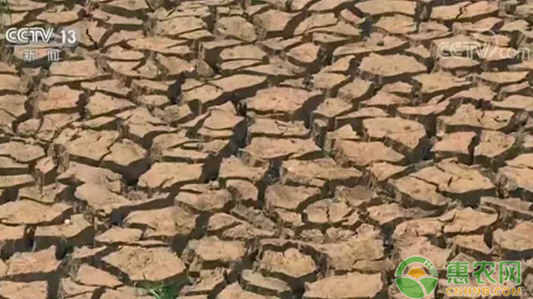 最新：云南遭遇10年来最严重旱情！对当地农业生产有何影响？