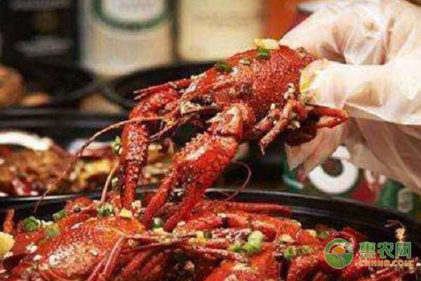 五一前3天上海吃掉24万只小龙虾！为什么小龙虾如此受到欢迎？