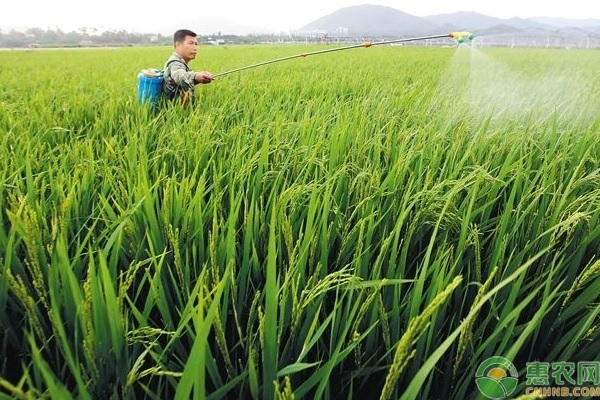 杀菌剂能和叶面肥混用吗？杀菌剂有哪些搭配禁忌？-图片版权归惠农网所有