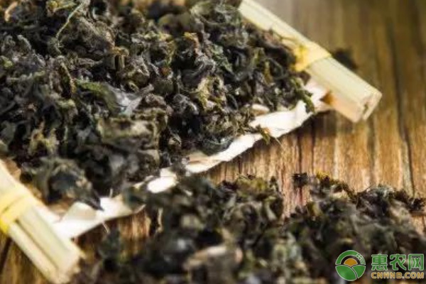 雷公菌怎么種植？-圖片版權(quán)歸惠農(nóng)網(wǎng)所有